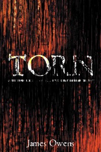 Cover image: Torn 9781973627074