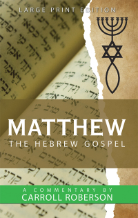 Cover image: Matthew the Hebrew Gospel 9781973629245