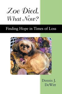 Cover image: Zoe Died. What Now? 9781973630692