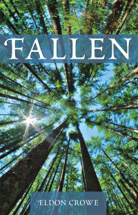 Cover image: Fallen 9781973632573