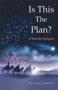 Imagen de portada: Is This the Plan? 9781973632849