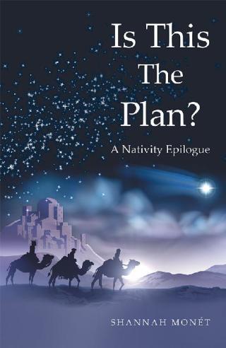 Cover image: Is This the Plan? 9781973632849