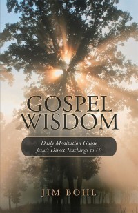 Cover image: Gospel Wisdom 9781973638667