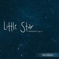 Cover image: Little Star 9781973640400