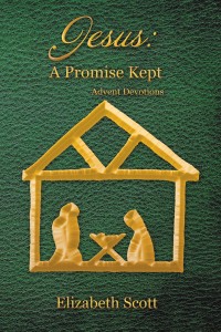 Imagen de portada: Jesus: a Promise Kept 9781973640424