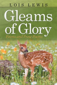 Imagen de portada: Gleams of Glory 9781973644132