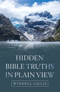 Cover image: Hidden Bible Truths in Plain View 9781973650348