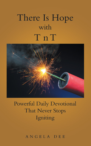 Cover image: There Is Hope with T N T 9781973653578