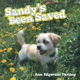 Cover image: Sandy’s Been Saved 9781973654056
