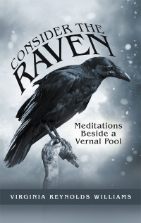 Cover image: Consider the Raven 9781973654902