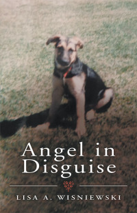 Cover image: Angel in Disguise 9781973656319