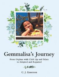 Imagen de portada: Gemmalisa’s Journey 9781973657897