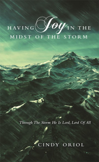 Imagen de portada: Having Joy in the Midst of the Storm 9781973657927