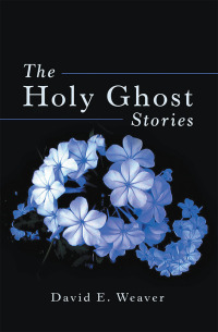 Omslagafbeelding: The Holy Ghost Stories 9781973658771