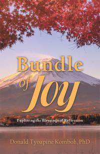 Imagen de portada: Bundle of Joy 9781973662310