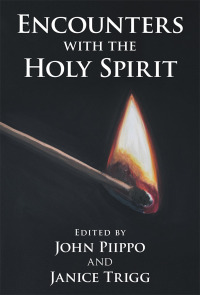 Cover image: Encounters with the Holy Spirit 9781973663980