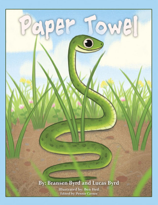 Cover image: Paper Towel 9781973667605