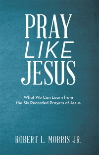 Imagen de portada: Pray Like Jesus 9781973667643