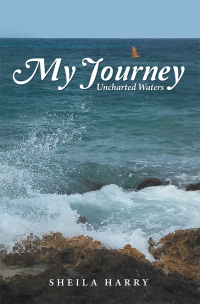 Cover image: My Journey 9781973669661