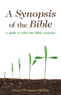 Imagen de portada: A Synopsis of the Bible 9781973671480