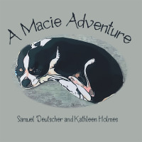 Cover image: A Macie Adventure 9781973672234