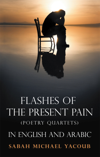 Cover image: Flashes of the Present Pain 9781973673569