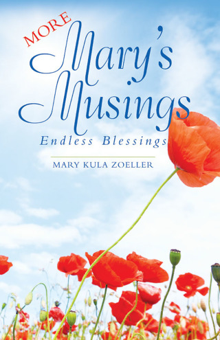Cover image: More Mary’s Musings 9781973674283