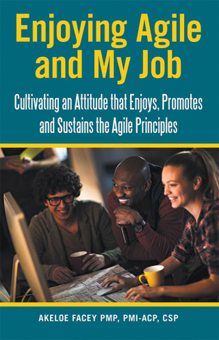 Cover image: Enjoying Agile and My Job 9781973674344