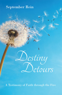 Cover image: Destiny Detours 9781973675501
