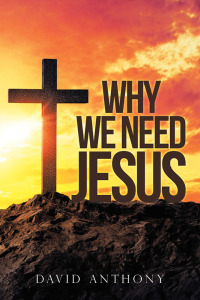 Cover image: Why We Need Jesus 9781973685111