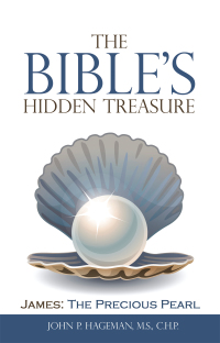 Imagen de portada: The Bible’s Hidden Treasure 9781973692850