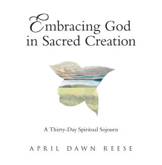 Omslagafbeelding: Embracing God in Sacred Creation 9781973697305
