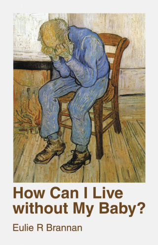 Cover image: How Can I Live Without My Baby? 9781973699224