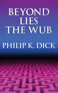 Cover image: Beyond Lies the Wub 9781857988796