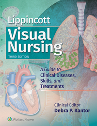 Imagen de portada: Lippincott Visual Nursing 3rd edition 9781496381781
