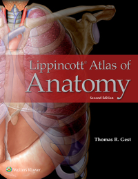 表紙画像: Lippincott Atlas of Anatomy 2nd edition 9781496338228