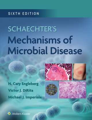 Titelbild: Schaechter's Mechanisms of Microbial Disease 6th edition 9781975151485