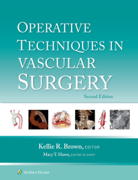 Imagen de portada: Operative Techniques in Vascular Surgery 2nd edition 9781975176648