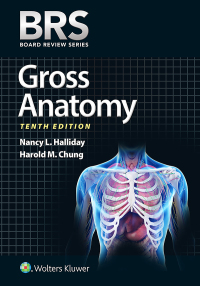 Imagen de portada: BRS Gross Anatomy 10th edition 9781975181376