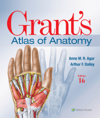表紙画像: Grant's Atlas of Anatomy 16th edition 9781975193430