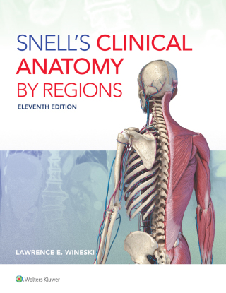 Cover image: Snell's Clinical Anatomy by Regions 11th edition 9781975194093