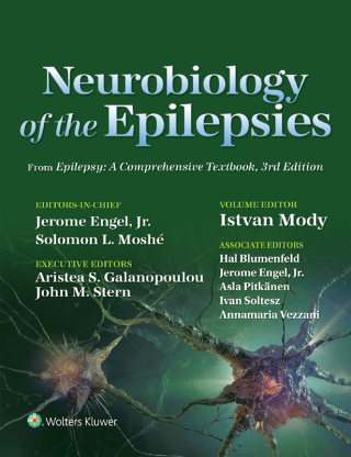Cover image: Neurobiology of the Epilepsies 1st edition 9781975194215