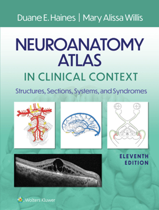 Titelbild: Neuroanatomy Atlas in Clinical Context 11th edition 9781975197292
