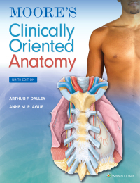 Cover image: Moore's Clinically Oriented Anatomy 9th edition 9781975209544