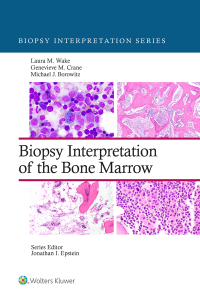 Omslagafbeelding: Biopsy Interpretation of the Bone Marrow 1st edition 9781496300591
