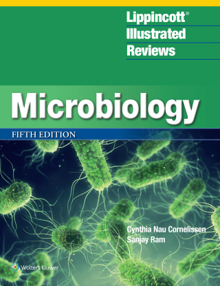 Cover image: Lippincott® Illustrated Reviews: Microbiology 5th edition 9781975233402