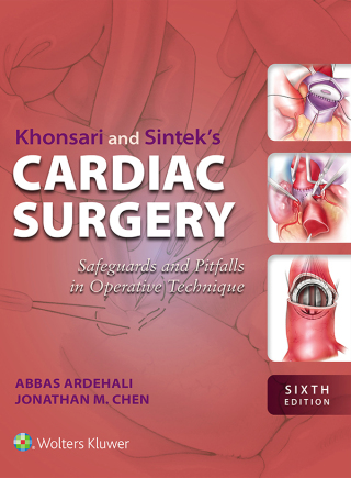 Titelbild: Khonsari and Sintek's Cardiac Surgery 6th edition 9781975238391