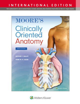 Cover image: Moore's Clinically Oriented Anatomy 9th edition 9781975209551