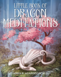 Omslagafbeelding: Little Book of Dragon Meditations 9781977204295