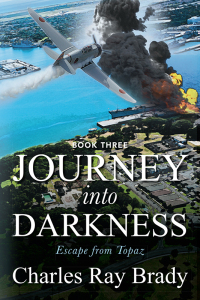 Cover image: JOURNEY INTO DARKNESS 9781977232519
